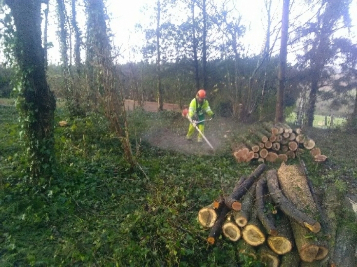 D&eacute;broussaillage