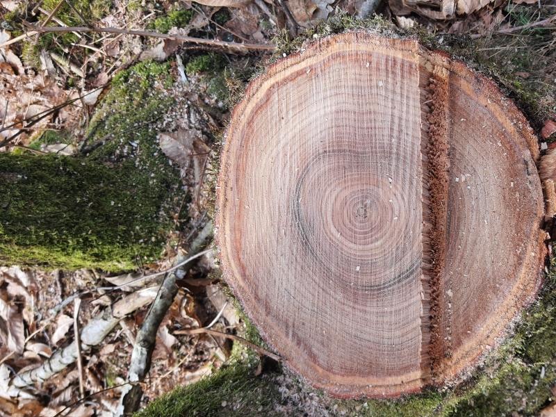 Quels partenariats avec Valoren'?